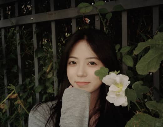 清澄思绪